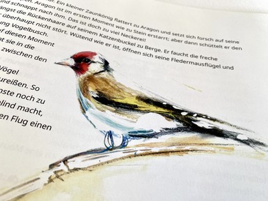 Kinderbuch "Hannafee" für PABArchitekten
