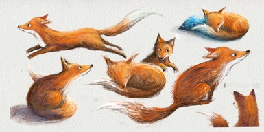 Fuchs in Bewegung – Charakterstudien für eine Kinderbuchillustration