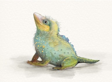 Erst durch die Begegnung mit dem kleinen Drachenküken erkennen sie, dass gerade darin ihre größte Stärke und besondere Gabe liegt.